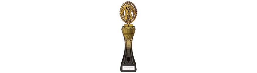 MAVERICK TOWER MARTIAL ARTS LEGEND TROPHY - 4 SIZES - 23CM - 31.5CM MAVERICK TOWER MARTIAL ARTS LEGEND TROPHY - 4 SIZES - 23CM - 31.5CM
